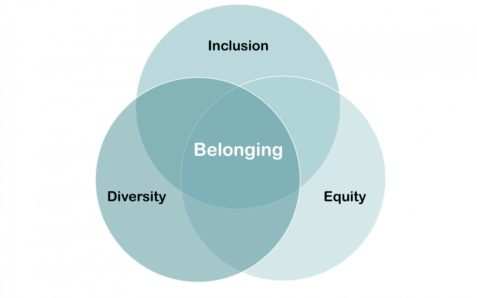 You Belong Here Four Key Components To Building A Culture Of Belonging