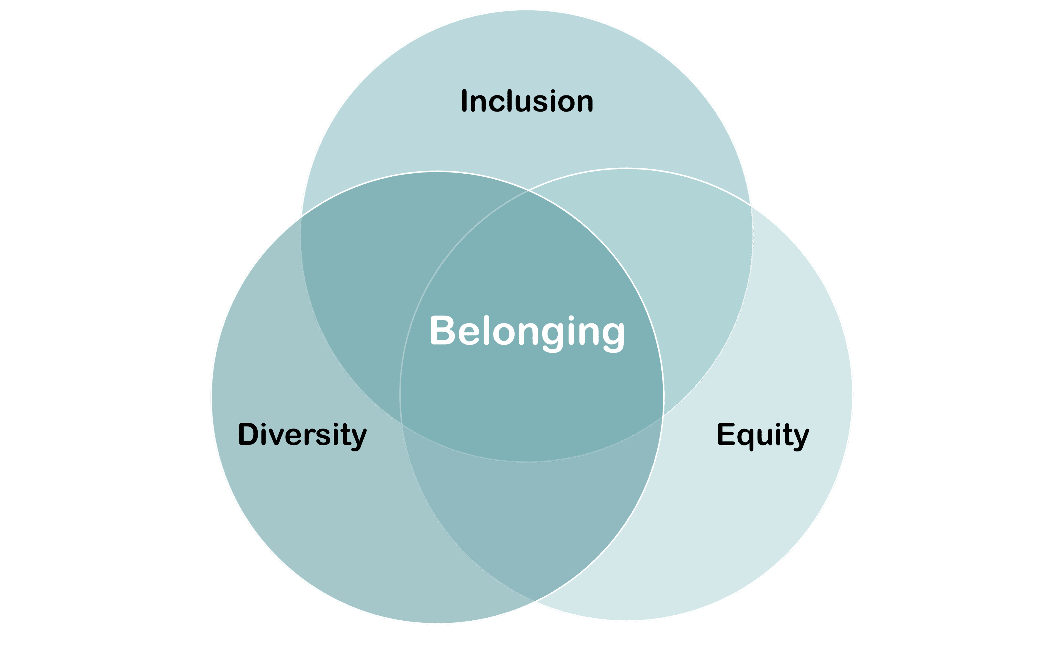 Belonging, Diversity, Equity & Inclusion